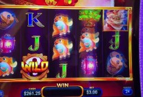 585bet com baixa oficial instale o aplicativo no celular de forma rápida e segura